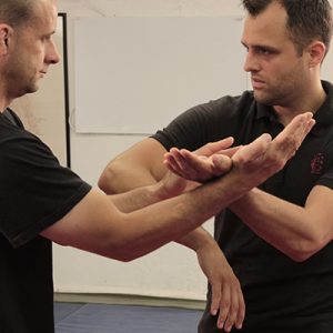 South London Wing Chun Classes