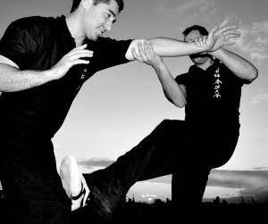 Sifu Nick Martin            