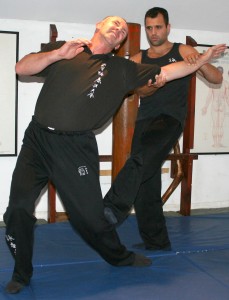 Sifu Nick Martin        