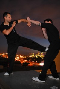 Wing Chun Kung Fu                        